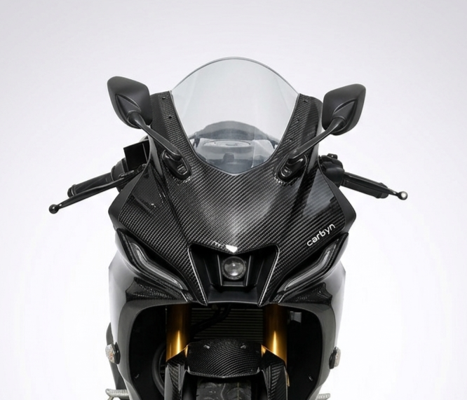 Bajaj Pulsar N250 with carbon fibre oil cooler shrouds